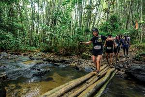 BIB: 
                            <button type="button" onclick="openModal(26446364)" class="btn btn-primary btn-sm float-right btn-popup" data-toggle="modal" data-target=".modal-high-quality">
                        <i class="fas fa-shopping-cart"></i> Add to Cart
                    </button>
                                            <button type="button" onclick="isThisMe(26446364, true)" class="btn btn-success btn-sm float-right btn-popup btn-isme hidden" data-toggle="tooltip" data-placement="bottom" title="นี่คือรูปของคุณใช่ไหม คลิกที่นี่เพื่อเอาเข้าอัลบั้ม">
                        <i class="fas fa-plus"></i> Add to album
                    </button>
                    <button type="button" onclick="isThisMe(26446364, false)" class="btn btn-warning btn-sm float-right btn-popup btn-isnotme hidden">
                        <i class="fas fa-ban"></i> Remove from album
                    </button>