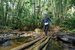 BIB: 
                            <button type="button" onclick="openModal(26442422)" class="btn btn-primary btn-sm float-right btn-popup" data-toggle="modal" data-target=".modal-high-quality">
                        <i class="fas fa-shopping-cart"></i> Add to Cart
                    </button>
                                            <button type="button" onclick="isThisMe(26442422, true)" class="btn btn-success btn-sm float-right btn-popup btn-isme hidden" data-toggle="tooltip" data-placement="bottom" title="นี่คือรูปของคุณใช่ไหม คลิกที่นี่เพื่อเอาเข้าอัลบั้ม">
                        <i class="fas fa-plus"></i> Add to album
                    </button>
                    <button type="button" onclick="isThisMe(26442422, false)" class="btn btn-warning btn-sm float-right btn-popup btn-isnotme hidden">
                        <i class="fas fa-ban"></i> Remove from album
                    </button>