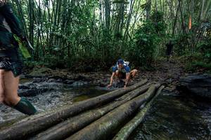 BIB: 
                            <button type="button" onclick="openModal(26431733)" class="btn btn-primary btn-sm float-right btn-popup" data-toggle="modal" data-target=".modal-high-quality">
                        <i class="fas fa-shopping-cart"></i> Add to Cart
                    </button>
                                            <button type="button" onclick="isThisMe(26431733, true)" class="btn btn-success btn-sm float-right btn-popup btn-isme hidden" data-toggle="tooltip" data-placement="bottom" title="นี่คือรูปของคุณใช่ไหม คลิกที่นี่เพื่อเอาเข้าอัลบั้ม">
                        <i class="fas fa-plus"></i> Add to album
                    </button>
                    <button type="button" onclick="isThisMe(26431733, false)" class="btn btn-warning btn-sm float-right btn-popup btn-isnotme hidden">
                        <i class="fas fa-ban"></i> Remove from album
                    </button>