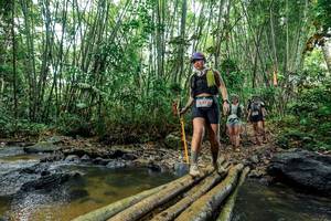 BIB: 
                            <button type="button" onclick="openModal(26464591)" class="btn btn-primary btn-sm float-right btn-popup" data-toggle="modal" data-target=".modal-high-quality">
                        <i class="fas fa-shopping-cart"></i> Add to Cart
                    </button>
                                            <button type="button" onclick="isThisMe(26464591, true)" class="btn btn-success btn-sm float-right btn-popup btn-isme hidden" data-toggle="tooltip" data-placement="bottom" title="นี่คือรูปของคุณใช่ไหม คลิกที่นี่เพื่อเอาเข้าอัลบั้ม">
                        <i class="fas fa-plus"></i> Add to album
                    </button>
                    <button type="button" onclick="isThisMe(26464591, false)" class="btn btn-warning btn-sm float-right btn-popup btn-isnotme hidden">
                        <i class="fas fa-ban"></i> Remove from album
                    </button>