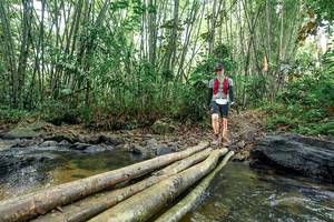 BIB: 
                            <button type="button" onclick="openModal(26428525)" class="btn btn-primary btn-sm float-right btn-popup" data-toggle="modal" data-target=".modal-high-quality">
                        <i class="fas fa-shopping-cart"></i> Add to Cart
                    </button>
                                            <button type="button" onclick="isThisMe(26428525, true)" class="btn btn-success btn-sm float-right btn-popup btn-isme hidden" data-toggle="tooltip" data-placement="bottom" title="นี่คือรูปของคุณใช่ไหม คลิกที่นี่เพื่อเอาเข้าอัลบั้ม">
                        <i class="fas fa-plus"></i> Add to album
                    </button>
                    <button type="button" onclick="isThisMe(26428525, false)" class="btn btn-warning btn-sm float-right btn-popup btn-isnotme hidden">
                        <i class="fas fa-ban"></i> Remove from album
                    </button>