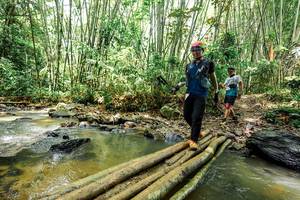 BIB: 
                            <button type="button" onclick="openModal(26450269)" class="btn btn-primary btn-sm float-right btn-popup" data-toggle="modal" data-target=".modal-high-quality">
                        <i class="fas fa-shopping-cart"></i> Add to Cart
                    </button>
                                            <button type="button" onclick="isThisMe(26450269, true)" class="btn btn-success btn-sm float-right btn-popup btn-isme hidden" data-toggle="tooltip" data-placement="bottom" title="นี่คือรูปของคุณใช่ไหม คลิกที่นี่เพื่อเอาเข้าอัลบั้ม">
                        <i class="fas fa-plus"></i> Add to album
                    </button>
                    <button type="button" onclick="isThisMe(26450269, false)" class="btn btn-warning btn-sm float-right btn-popup btn-isnotme hidden">
                        <i class="fas fa-ban"></i> Remove from album
                    </button>