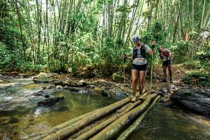 BIB: 
                            <button type="button" onclick="openModal(26448898)" class="btn btn-primary btn-sm float-right btn-popup" data-toggle="modal" data-target=".modal-high-quality">
                        <i class="fas fa-shopping-cart"></i> Add to Cart
                    </button>
                                            <button type="button" onclick="isThisMe(26448898, true)" class="btn btn-success btn-sm float-right btn-popup btn-isme hidden" data-toggle="tooltip" data-placement="bottom" title="นี่คือรูปของคุณใช่ไหม คลิกที่นี่เพื่อเอาเข้าอัลบั้ม">
                        <i class="fas fa-plus"></i> Add to album
                    </button>
                    <button type="button" onclick="isThisMe(26448898, false)" class="btn btn-warning btn-sm float-right btn-popup btn-isnotme hidden">
                        <i class="fas fa-ban"></i> Remove from album
                    </button>