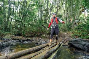 BIB: 
                            <button type="button" onclick="openModal(26435146)" class="btn btn-primary btn-sm float-right btn-popup" data-toggle="modal" data-target=".modal-high-quality">
                        <i class="fas fa-shopping-cart"></i> Add to Cart
                    </button>
                                            <button type="button" onclick="isThisMe(26435146, true)" class="btn btn-success btn-sm float-right btn-popup btn-isme hidden" data-toggle="tooltip" data-placement="bottom" title="นี่คือรูปของคุณใช่ไหม คลิกที่นี่เพื่อเอาเข้าอัลบั้ม">
                        <i class="fas fa-plus"></i> Add to album
                    </button>
                    <button type="button" onclick="isThisMe(26435146, false)" class="btn btn-warning btn-sm float-right btn-popup btn-isnotme hidden">
                        <i class="fas fa-ban"></i> Remove from album
                    </button>