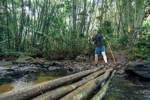 BIB: 
                            <button type="button" onclick="openModal(26432506)" class="btn btn-primary btn-sm float-right btn-popup" data-toggle="modal" data-target=".modal-high-quality">
                        <i class="fas fa-shopping-cart"></i> Add to Cart
                    </button>
                                            <button type="button" onclick="isThisMe(26432506, true)" class="btn btn-success btn-sm float-right btn-popup btn-isme hidden" data-toggle="tooltip" data-placement="bottom" title="นี่คือรูปของคุณใช่ไหม คลิกที่นี่เพื่อเอาเข้าอัลบั้ม">
                        <i class="fas fa-plus"></i> Add to album
                    </button>
                    <button type="button" onclick="isThisMe(26432506, false)" class="btn btn-warning btn-sm float-right btn-popup btn-isnotme hidden">
                        <i class="fas fa-ban"></i> Remove from album
                    </button>