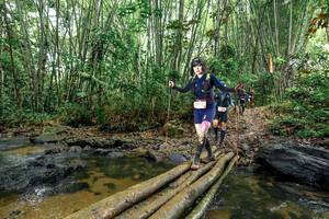 BIB: 
                            <button type="button" onclick="openModal(26502783)" class="btn btn-primary btn-sm float-right btn-popup" data-toggle="modal" data-target=".modal-high-quality">
                        <i class="fas fa-shopping-cart"></i> Add to Cart
                    </button>
                                            <button type="button" onclick="isThisMe(26502783, true)" class="btn btn-success btn-sm float-right btn-popup btn-isme hidden" data-toggle="tooltip" data-placement="bottom" title="นี่คือรูปของคุณใช่ไหม คลิกที่นี่เพื่อเอาเข้าอัลบั้ม">
                        <i class="fas fa-plus"></i> Add to album
                    </button>
                    <button type="button" onclick="isThisMe(26502783, false)" class="btn btn-warning btn-sm float-right btn-popup btn-isnotme hidden">
                        <i class="fas fa-ban"></i> Remove from album
                    </button>