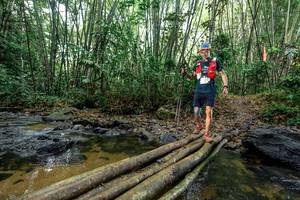 BIB: 
                            <button type="button" onclick="openModal(26441626)" class="btn btn-primary btn-sm float-right btn-popup" data-toggle="modal" data-target=".modal-high-quality">
                        <i class="fas fa-shopping-cart"></i> Add to Cart
                    </button>
                                            <button type="button" onclick="isThisMe(26441626, true)" class="btn btn-success btn-sm float-right btn-popup btn-isme hidden" data-toggle="tooltip" data-placement="bottom" title="นี่คือรูปของคุณใช่ไหม คลิกที่นี่เพื่อเอาเข้าอัลบั้ม">
                        <i class="fas fa-plus"></i> Add to album
                    </button>
                    <button type="button" onclick="isThisMe(26441626, false)" class="btn btn-warning btn-sm float-right btn-popup btn-isnotme hidden">
                        <i class="fas fa-ban"></i> Remove from album
                    </button>