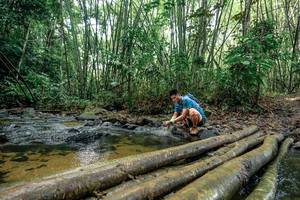 BIB: 
                            <button type="button" onclick="openModal(26435868)" class="btn btn-primary btn-sm float-right btn-popup" data-toggle="modal" data-target=".modal-high-quality">
                        <i class="fas fa-shopping-cart"></i> Add to Cart
                    </button>
                                            <button type="button" onclick="isThisMe(26435868, true)" class="btn btn-success btn-sm float-right btn-popup btn-isme hidden" data-toggle="tooltip" data-placement="bottom" title="นี่คือรูปของคุณใช่ไหม คลิกที่นี่เพื่อเอาเข้าอัลบั้ม">
                        <i class="fas fa-plus"></i> Add to album
                    </button>
                    <button type="button" onclick="isThisMe(26435868, false)" class="btn btn-warning btn-sm float-right btn-popup btn-isnotme hidden">
                        <i class="fas fa-ban"></i> Remove from album
                    </button>