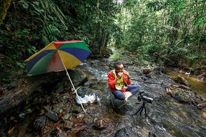 BIB: 
                            <button type="button" onclick="openModal(26450397)" class="btn btn-primary btn-sm float-right btn-popup" data-toggle="modal" data-target=".modal-high-quality">
                        <i class="fas fa-shopping-cart"></i> Add to Cart
                    </button>
                                            <button type="button" onclick="isThisMe(26450397, true)" class="btn btn-success btn-sm float-right btn-popup btn-isme hidden" data-toggle="tooltip" data-placement="bottom" title="นี่คือรูปของคุณใช่ไหม คลิกที่นี่เพื่อเอาเข้าอัลบั้ม">
                        <i class="fas fa-plus"></i> Add to album
                    </button>
                    <button type="button" onclick="isThisMe(26450397, false)" class="btn btn-warning btn-sm float-right btn-popup btn-isnotme hidden">
                        <i class="fas fa-ban"></i> Remove from album
                    </button>