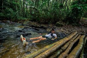 BIB: 
                            <button type="button" onclick="openModal(26454660)" class="btn btn-primary btn-sm float-right btn-popup" data-toggle="modal" data-target=".modal-high-quality">
                        <i class="fas fa-shopping-cart"></i> Add to Cart
                    </button>
                                            <button type="button" onclick="isThisMe(26454660, true)" class="btn btn-success btn-sm float-right btn-popup btn-isme hidden" data-toggle="tooltip" data-placement="bottom" title="นี่คือรูปของคุณใช่ไหม คลิกที่นี่เพื่อเอาเข้าอัลบั้ม">
                        <i class="fas fa-plus"></i> Add to album
                    </button>
                    <button type="button" onclick="isThisMe(26454660, false)" class="btn btn-warning btn-sm float-right btn-popup btn-isnotme hidden">
                        <i class="fas fa-ban"></i> Remove from album
                    </button>