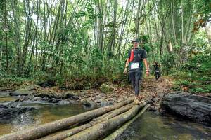 BIB: 
                            <button type="button" onclick="openModal(26449600)" class="btn btn-primary btn-sm float-right btn-popup" data-toggle="modal" data-target=".modal-high-quality">
                        <i class="fas fa-shopping-cart"></i> Add to Cart
                    </button>
                                            <button type="button" onclick="isThisMe(26449600, true)" class="btn btn-success btn-sm float-right btn-popup btn-isme hidden" data-toggle="tooltip" data-placement="bottom" title="นี่คือรูปของคุณใช่ไหม คลิกที่นี่เพื่อเอาเข้าอัลบั้ม">
                        <i class="fas fa-plus"></i> Add to album
                    </button>
                    <button type="button" onclick="isThisMe(26449600, false)" class="btn btn-warning btn-sm float-right btn-popup btn-isnotme hidden">
                        <i class="fas fa-ban"></i> Remove from album
                    </button>