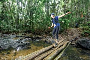 BIB: 
                            <button type="button" onclick="openModal(26502069)" class="btn btn-primary btn-sm float-right btn-popup" data-toggle="modal" data-target=".modal-high-quality">
                        <i class="fas fa-shopping-cart"></i> Add to Cart
                    </button>
                                            <button type="button" onclick="isThisMe(26502069, true)" class="btn btn-success btn-sm float-right btn-popup btn-isme hidden" data-toggle="tooltip" data-placement="bottom" title="นี่คือรูปของคุณใช่ไหม คลิกที่นี่เพื่อเอาเข้าอัลบั้ม">
                        <i class="fas fa-plus"></i> Add to album
                    </button>
                    <button type="button" onclick="isThisMe(26502069, false)" class="btn btn-warning btn-sm float-right btn-popup btn-isnotme hidden">
                        <i class="fas fa-ban"></i> Remove from album
                    </button>