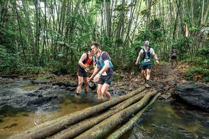 BIB: 
                            <button type="button" onclick="openModal(26446146)" class="btn btn-primary btn-sm float-right btn-popup" data-toggle="modal" data-target=".modal-high-quality">
                        <i class="fas fa-shopping-cart"></i> Add to Cart
                    </button>
                                            <button type="button" onclick="isThisMe(26446146, true)" class="btn btn-success btn-sm float-right btn-popup btn-isme hidden" data-toggle="tooltip" data-placement="bottom" title="นี่คือรูปของคุณใช่ไหม คลิกที่นี่เพื่อเอาเข้าอัลบั้ม">
                        <i class="fas fa-plus"></i> Add to album
                    </button>
                    <button type="button" onclick="isThisMe(26446146, false)" class="btn btn-warning btn-sm float-right btn-popup btn-isnotme hidden">
                        <i class="fas fa-ban"></i> Remove from album
                    </button>