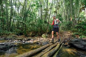 BIB: 
                            <button type="button" onclick="openModal(26443108)" class="btn btn-primary btn-sm float-right btn-popup" data-toggle="modal" data-target=".modal-high-quality">
                        <i class="fas fa-shopping-cart"></i> Add to Cart
                    </button>
                                            <button type="button" onclick="isThisMe(26443108, true)" class="btn btn-success btn-sm float-right btn-popup btn-isme hidden" data-toggle="tooltip" data-placement="bottom" title="นี่คือรูปของคุณใช่ไหม คลิกที่นี่เพื่อเอาเข้าอัลบั้ม">
                        <i class="fas fa-plus"></i> Add to album
                    </button>
                    <button type="button" onclick="isThisMe(26443108, false)" class="btn btn-warning btn-sm float-right btn-popup btn-isnotme hidden">
                        <i class="fas fa-ban"></i> Remove from album
                    </button>