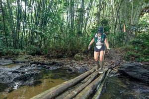 BIB: 
                            <button type="button" onclick="openModal(26428558)" class="btn btn-primary btn-sm float-right btn-popup" data-toggle="modal" data-target=".modal-high-quality">
                        <i class="fas fa-shopping-cart"></i> Add to Cart
                    </button>
                                            <button type="button" onclick="isThisMe(26428558, true)" class="btn btn-success btn-sm float-right btn-popup btn-isme hidden" data-toggle="tooltip" data-placement="bottom" title="นี่คือรูปของคุณใช่ไหม คลิกที่นี่เพื่อเอาเข้าอัลบั้ม">
                        <i class="fas fa-plus"></i> Add to album
                    </button>
                    <button type="button" onclick="isThisMe(26428558, false)" class="btn btn-warning btn-sm float-right btn-popup btn-isnotme hidden">
                        <i class="fas fa-ban"></i> Remove from album
                    </button>