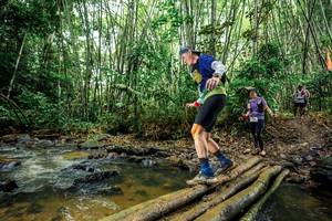 BIB: 
                            <button type="button" onclick="openModal(26503785)" class="btn btn-primary btn-sm float-right btn-popup" data-toggle="modal" data-target=".modal-high-quality">
                        <i class="fas fa-shopping-cart"></i> Add to Cart
                    </button>
                                            <button type="button" onclick="isThisMe(26503785, true)" class="btn btn-success btn-sm float-right btn-popup btn-isme hidden" data-toggle="tooltip" data-placement="bottom" title="นี่คือรูปของคุณใช่ไหม คลิกที่นี่เพื่อเอาเข้าอัลบั้ม">
                        <i class="fas fa-plus"></i> Add to album
                    </button>
                    <button type="button" onclick="isThisMe(26503785, false)" class="btn btn-warning btn-sm float-right btn-popup btn-isnotme hidden">
                        <i class="fas fa-ban"></i> Remove from album
                    </button>