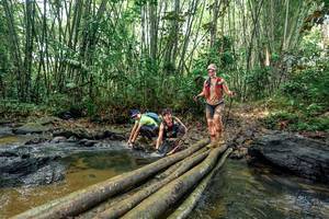 BIB: 
                            <button type="button" onclick="openModal(26440444)" class="btn btn-primary btn-sm float-right btn-popup" data-toggle="modal" data-target=".modal-high-quality">
                        <i class="fas fa-shopping-cart"></i> Add to Cart
                    </button>
                                            <button type="button" onclick="isThisMe(26440444, true)" class="btn btn-success btn-sm float-right btn-popup btn-isme hidden" data-toggle="tooltip" data-placement="bottom" title="นี่คือรูปของคุณใช่ไหม คลิกที่นี่เพื่อเอาเข้าอัลบั้ม">
                        <i class="fas fa-plus"></i> Add to album
                    </button>
                    <button type="button" onclick="isThisMe(26440444, false)" class="btn btn-warning btn-sm float-right btn-popup btn-isnotme hidden">
                        <i class="fas fa-ban"></i> Remove from album
                    </button>