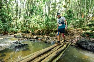 BIB: 
                            <button type="button" onclick="openModal(26450648)" class="btn btn-primary btn-sm float-right btn-popup" data-toggle="modal" data-target=".modal-high-quality">
                        <i class="fas fa-shopping-cart"></i> Add to Cart
                    </button>
                                            <button type="button" onclick="isThisMe(26450648, true)" class="btn btn-success btn-sm float-right btn-popup btn-isme hidden" data-toggle="tooltip" data-placement="bottom" title="นี่คือรูปของคุณใช่ไหม คลิกที่นี่เพื่อเอาเข้าอัลบั้ม">
                        <i class="fas fa-plus"></i> Add to album
                    </button>
                    <button type="button" onclick="isThisMe(26450648, false)" class="btn btn-warning btn-sm float-right btn-popup btn-isnotme hidden">
                        <i class="fas fa-ban"></i> Remove from album
                    </button>