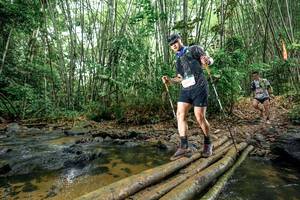 BIB: 
                            <button type="button" onclick="openModal(26502697)" class="btn btn-primary btn-sm float-right btn-popup" data-toggle="modal" data-target=".modal-high-quality">
                        <i class="fas fa-shopping-cart"></i> Add to Cart
                    </button>
                                            <button type="button" onclick="isThisMe(26502697, true)" class="btn btn-success btn-sm float-right btn-popup btn-isme hidden" data-toggle="tooltip" data-placement="bottom" title="นี่คือรูปของคุณใช่ไหม คลิกที่นี่เพื่อเอาเข้าอัลบั้ม">
                        <i class="fas fa-plus"></i> Add to album
                    </button>
                    <button type="button" onclick="isThisMe(26502697, false)" class="btn btn-warning btn-sm float-right btn-popup btn-isnotme hidden">
                        <i class="fas fa-ban"></i> Remove from album
                    </button>