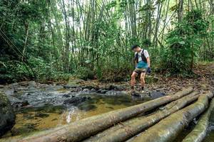 BIB: 
                            <button type="button" onclick="openModal(26437936)" class="btn btn-primary btn-sm float-right btn-popup" data-toggle="modal" data-target=".modal-high-quality">
                        <i class="fas fa-shopping-cart"></i> Add to Cart
                    </button>
                                            <button type="button" onclick="isThisMe(26437936, true)" class="btn btn-success btn-sm float-right btn-popup btn-isme hidden" data-toggle="tooltip" data-placement="bottom" title="นี่คือรูปของคุณใช่ไหม คลิกที่นี่เพื่อเอาเข้าอัลบั้ม">
                        <i class="fas fa-plus"></i> Add to album
                    </button>
                    <button type="button" onclick="isThisMe(26437936, false)" class="btn btn-warning btn-sm float-right btn-popup btn-isnotme hidden">
                        <i class="fas fa-ban"></i> Remove from album
                    </button>