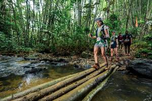 BIB: 
                            <button type="button" onclick="openModal(26464687)" class="btn btn-primary btn-sm float-right btn-popup" data-toggle="modal" data-target=".modal-high-quality">
                        <i class="fas fa-shopping-cart"></i> Add to Cart
                    </button>
                                            <button type="button" onclick="isThisMe(26464687, true)" class="btn btn-success btn-sm float-right btn-popup btn-isme hidden" data-toggle="tooltip" data-placement="bottom" title="นี่คือรูปของคุณใช่ไหม คลิกที่นี่เพื่อเอาเข้าอัลบั้ม">
                        <i class="fas fa-plus"></i> Add to album
                    </button>
                    <button type="button" onclick="isThisMe(26464687, false)" class="btn btn-warning btn-sm float-right btn-popup btn-isnotme hidden">
                        <i class="fas fa-ban"></i> Remove from album
                    </button>