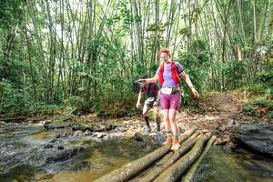 BIB: 
                            <button type="button" onclick="openModal(26439648)" class="btn btn-primary btn-sm float-right btn-popup" data-toggle="modal" data-target=".modal-high-quality">
                        <i class="fas fa-shopping-cart"></i> Add to Cart
                    </button>
                                            <button type="button" onclick="isThisMe(26439648, true)" class="btn btn-success btn-sm float-right btn-popup btn-isme hidden" data-toggle="tooltip" data-placement="bottom" title="นี่คือรูปของคุณใช่ไหม คลิกที่นี่เพื่อเอาเข้าอัลบั้ม">
                        <i class="fas fa-plus"></i> Add to album
                    </button>
                    <button type="button" onclick="isThisMe(26439648, false)" class="btn btn-warning btn-sm float-right btn-popup btn-isnotme hidden">
                        <i class="fas fa-ban"></i> Remove from album
                    </button>