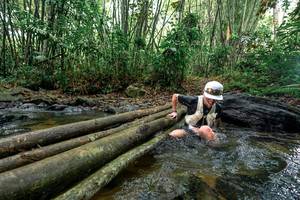 BIB: 
                            <button type="button" onclick="openModal(26436666)" class="btn btn-primary btn-sm float-right btn-popup" data-toggle="modal" data-target=".modal-high-quality">
                        <i class="fas fa-shopping-cart"></i> Add to Cart
                    </button>
                                            <button type="button" onclick="isThisMe(26436666, true)" class="btn btn-success btn-sm float-right btn-popup btn-isme hidden" data-toggle="tooltip" data-placement="bottom" title="นี่คือรูปของคุณใช่ไหม คลิกที่นี่เพื่อเอาเข้าอัลบั้ม">
                        <i class="fas fa-plus"></i> Add to album
                    </button>
                    <button type="button" onclick="isThisMe(26436666, false)" class="btn btn-warning btn-sm float-right btn-popup btn-isnotme hidden">
                        <i class="fas fa-ban"></i> Remove from album
                    </button>