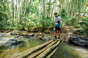 BIB: 
                            <button type="button" onclick="openModal(26450475)" class="btn btn-primary btn-sm float-right btn-popup" data-toggle="modal" data-target=".modal-high-quality">
                        <i class="fas fa-shopping-cart"></i> Add to Cart
                    </button>
                                            <button type="button" onclick="isThisMe(26450475, true)" class="btn btn-success btn-sm float-right btn-popup btn-isme hidden" data-toggle="tooltip" data-placement="bottom" title="นี่คือรูปของคุณใช่ไหม คลิกที่นี่เพื่อเอาเข้าอัลบั้ม">
                        <i class="fas fa-plus"></i> Add to album
                    </button>
                    <button type="button" onclick="isThisMe(26450475, false)" class="btn btn-warning btn-sm float-right btn-popup btn-isnotme hidden">
                        <i class="fas fa-ban"></i> Remove from album
                    </button>