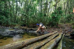 BIB: 
                            <button type="button" onclick="openModal(26430893)" class="btn btn-primary btn-sm float-right btn-popup" data-toggle="modal" data-target=".modal-high-quality">
                        <i class="fas fa-shopping-cart"></i> Add to Cart
                    </button>
                                            <button type="button" onclick="isThisMe(26430893, true)" class="btn btn-success btn-sm float-right btn-popup btn-isme hidden" data-toggle="tooltip" data-placement="bottom" title="นี่คือรูปของคุณใช่ไหม คลิกที่นี่เพื่อเอาเข้าอัลบั้ม">
                        <i class="fas fa-plus"></i> Add to album
                    </button>
                    <button type="button" onclick="isThisMe(26430893, false)" class="btn btn-warning btn-sm float-right btn-popup btn-isnotme hidden">
                        <i class="fas fa-ban"></i> Remove from album
                    </button>