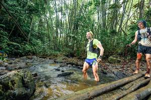 BIB: 
                            <button type="button" onclick="openModal(26431575)" class="btn btn-primary btn-sm float-right btn-popup" data-toggle="modal" data-target=".modal-high-quality">
                        <i class="fas fa-shopping-cart"></i> Add to Cart
                    </button>
                                            <button type="button" onclick="isThisMe(26431575, true)" class="btn btn-success btn-sm float-right btn-popup btn-isme hidden" data-toggle="tooltip" data-placement="bottom" title="นี่คือรูปของคุณใช่ไหม คลิกที่นี่เพื่อเอาเข้าอัลบั้ม">
                        <i class="fas fa-plus"></i> Add to album
                    </button>
                    <button type="button" onclick="isThisMe(26431575, false)" class="btn btn-warning btn-sm float-right btn-popup btn-isnotme hidden">
                        <i class="fas fa-ban"></i> Remove from album
                    </button>