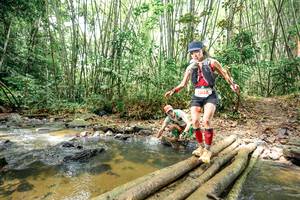 BIB: 
                            <button type="button" onclick="openModal(26449997)" class="btn btn-primary btn-sm float-right btn-popup" data-toggle="modal" data-target=".modal-high-quality">
                        <i class="fas fa-shopping-cart"></i> Add to Cart
                    </button>
                                            <button type="button" onclick="isThisMe(26449997, true)" class="btn btn-success btn-sm float-right btn-popup btn-isme hidden" data-toggle="tooltip" data-placement="bottom" title="นี่คือรูปของคุณใช่ไหม คลิกที่นี่เพื่อเอาเข้าอัลบั้ม">
                        <i class="fas fa-plus"></i> Add to album
                    </button>
                    <button type="button" onclick="isThisMe(26449997, false)" class="btn btn-warning btn-sm float-right btn-popup btn-isnotme hidden">
                        <i class="fas fa-ban"></i> Remove from album
                    </button>