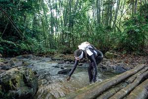 BIB: 
                            <button type="button" onclick="openModal(26427422)" class="btn btn-primary btn-sm float-right btn-popup" data-toggle="modal" data-target=".modal-high-quality">
                        <i class="fas fa-shopping-cart"></i> Add to Cart
                    </button>
                                            <button type="button" onclick="isThisMe(26427422, true)" class="btn btn-success btn-sm float-right btn-popup btn-isme hidden" data-toggle="tooltip" data-placement="bottom" title="นี่คือรูปของคุณใช่ไหม คลิกที่นี่เพื่อเอาเข้าอัลบั้ม">
                        <i class="fas fa-plus"></i> Add to album
                    </button>
                    <button type="button" onclick="isThisMe(26427422, false)" class="btn btn-warning btn-sm float-right btn-popup btn-isnotme hidden">
                        <i class="fas fa-ban"></i> Remove from album
                    </button>