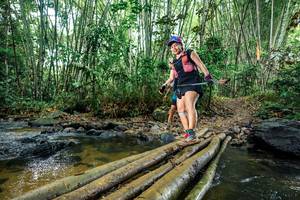 BIB: 
                            <button type="button" onclick="openModal(26471697)" class="btn btn-primary btn-sm float-right btn-popup" data-toggle="modal" data-target=".modal-high-quality">
                        <i class="fas fa-shopping-cart"></i> Add to Cart
                    </button>
                                            <button type="button" onclick="isThisMe(26471697, true)" class="btn btn-success btn-sm float-right btn-popup btn-isme hidden" data-toggle="tooltip" data-placement="bottom" title="นี่คือรูปของคุณใช่ไหม คลิกที่นี่เพื่อเอาเข้าอัลบั้ม">
                        <i class="fas fa-plus"></i> Add to album
                    </button>
                    <button type="button" onclick="isThisMe(26471697, false)" class="btn btn-warning btn-sm float-right btn-popup btn-isnotme hidden">
                        <i class="fas fa-ban"></i> Remove from album
                    </button>