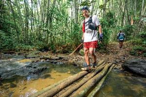 BIB: 
                            <button type="button" onclick="openModal(26501055)" class="btn btn-primary btn-sm float-right btn-popup" data-toggle="modal" data-target=".modal-high-quality">
                        <i class="fas fa-shopping-cart"></i> Add to Cart
                    </button>
                                            <button type="button" onclick="isThisMe(26501055, true)" class="btn btn-success btn-sm float-right btn-popup btn-isme hidden" data-toggle="tooltip" data-placement="bottom" title="นี่คือรูปของคุณใช่ไหม คลิกที่นี่เพื่อเอาเข้าอัลบั้ม">
                        <i class="fas fa-plus"></i> Add to album
                    </button>
                    <button type="button" onclick="isThisMe(26501055, false)" class="btn btn-warning btn-sm float-right btn-popup btn-isnotme hidden">
                        <i class="fas fa-ban"></i> Remove from album
                    </button>