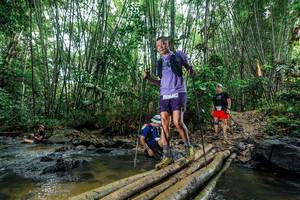 BIB: 
                            <button type="button" onclick="openModal(26490497)" class="btn btn-primary btn-sm float-right btn-popup" data-toggle="modal" data-target=".modal-high-quality">
                        <i class="fas fa-shopping-cart"></i> Add to Cart
                    </button>
                                            <button type="button" onclick="isThisMe(26490497, true)" class="btn btn-success btn-sm float-right btn-popup btn-isme hidden" data-toggle="tooltip" data-placement="bottom" title="นี่คือรูปของคุณใช่ไหม คลิกที่นี่เพื่อเอาเข้าอัลบั้ม">
                        <i class="fas fa-plus"></i> Add to album
                    </button>
                    <button type="button" onclick="isThisMe(26490497, false)" class="btn btn-warning btn-sm float-right btn-popup btn-isnotme hidden">
                        <i class="fas fa-ban"></i> Remove from album
                    </button>