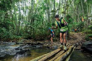 BIB: 
                            <button type="button" onclick="openModal(26465190)" class="btn btn-primary btn-sm float-right btn-popup" data-toggle="modal" data-target=".modal-high-quality">
                        <i class="fas fa-shopping-cart"></i> Add to Cart
                    </button>
                                            <button type="button" onclick="isThisMe(26465190, true)" class="btn btn-success btn-sm float-right btn-popup btn-isme hidden" data-toggle="tooltip" data-placement="bottom" title="นี่คือรูปของคุณใช่ไหม คลิกที่นี่เพื่อเอาเข้าอัลบั้ม">
                        <i class="fas fa-plus"></i> Add to album
                    </button>
                    <button type="button" onclick="isThisMe(26465190, false)" class="btn btn-warning btn-sm float-right btn-popup btn-isnotme hidden">
                        <i class="fas fa-ban"></i> Remove from album
                    </button>