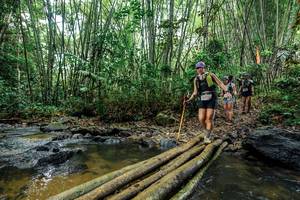 BIB: 
                            <button type="button" onclick="openModal(26464530)" class="btn btn-primary btn-sm float-right btn-popup" data-toggle="modal" data-target=".modal-high-quality">
                        <i class="fas fa-shopping-cart"></i> Add to Cart
                    </button>
                                            <button type="button" onclick="isThisMe(26464530, true)" class="btn btn-success btn-sm float-right btn-popup btn-isme hidden" data-toggle="tooltip" data-placement="bottom" title="นี่คือรูปของคุณใช่ไหม คลิกที่นี่เพื่อเอาเข้าอัลบั้ม">
                        <i class="fas fa-plus"></i> Add to album
                    </button>
                    <button type="button" onclick="isThisMe(26464530, false)" class="btn btn-warning btn-sm float-right btn-popup btn-isnotme hidden">
                        <i class="fas fa-ban"></i> Remove from album
                    </button>