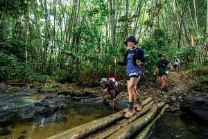 BIB: 
                            <button type="button" onclick="openModal(26504419)" class="btn btn-primary btn-sm float-right btn-popup" data-toggle="modal" data-target=".modal-high-quality">
                        <i class="fas fa-shopping-cart"></i> Add to Cart
                    </button>
                                            <button type="button" onclick="isThisMe(26504419, true)" class="btn btn-success btn-sm float-right btn-popup btn-isme hidden" data-toggle="tooltip" data-placement="bottom" title="นี่คือรูปของคุณใช่ไหม คลิกที่นี่เพื่อเอาเข้าอัลบั้ม">
                        <i class="fas fa-plus"></i> Add to album
                    </button>
                    <button type="button" onclick="isThisMe(26504419, false)" class="btn btn-warning btn-sm float-right btn-popup btn-isnotme hidden">
                        <i class="fas fa-ban"></i> Remove from album
                    </button>