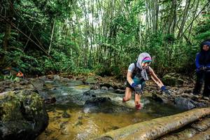 BIB: 
                            <button type="button" onclick="openModal(26505395)" class="btn btn-primary btn-sm float-right btn-popup" data-toggle="modal" data-target=".modal-high-quality">
                        <i class="fas fa-shopping-cart"></i> Add to Cart
                    </button>
                                            <button type="button" onclick="isThisMe(26505395, true)" class="btn btn-success btn-sm float-right btn-popup btn-isme hidden" data-toggle="tooltip" data-placement="bottom" title="นี่คือรูปของคุณใช่ไหม คลิกที่นี่เพื่อเอาเข้าอัลบั้ม">
                        <i class="fas fa-plus"></i> Add to album
                    </button>
                    <button type="button" onclick="isThisMe(26505395, false)" class="btn btn-warning btn-sm float-right btn-popup btn-isnotme hidden">
                        <i class="fas fa-ban"></i> Remove from album
                    </button>