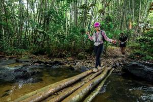 BIB: 
                            <button type="button" onclick="openModal(26504907)" class="btn btn-primary btn-sm float-right btn-popup" data-toggle="modal" data-target=".modal-high-quality">
                        <i class="fas fa-shopping-cart"></i> Add to Cart
                    </button>
                                            <button type="button" onclick="isThisMe(26504907, true)" class="btn btn-success btn-sm float-right btn-popup btn-isme hidden" data-toggle="tooltip" data-placement="bottom" title="นี่คือรูปของคุณใช่ไหม คลิกที่นี่เพื่อเอาเข้าอัลบั้ม">
                        <i class="fas fa-plus"></i> Add to album
                    </button>
                    <button type="button" onclick="isThisMe(26504907, false)" class="btn btn-warning btn-sm float-right btn-popup btn-isnotme hidden">
                        <i class="fas fa-ban"></i> Remove from album
                    </button>