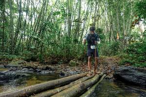 BIB: 
                            <button type="button" onclick="openModal(26437243)" class="btn btn-primary btn-sm float-right btn-popup" data-toggle="modal" data-target=".modal-high-quality">
                        <i class="fas fa-shopping-cart"></i> Add to Cart
                    </button>
                                            <button type="button" onclick="isThisMe(26437243, true)" class="btn btn-success btn-sm float-right btn-popup btn-isme hidden" data-toggle="tooltip" data-placement="bottom" title="นี่คือรูปของคุณใช่ไหม คลิกที่นี่เพื่อเอาเข้าอัลบั้ม">
                        <i class="fas fa-plus"></i> Add to album
                    </button>
                    <button type="button" onclick="isThisMe(26437243, false)" class="btn btn-warning btn-sm float-right btn-popup btn-isnotme hidden">
                        <i class="fas fa-ban"></i> Remove from album
                    </button>