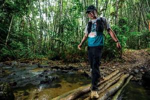 BIB: 
                            <button type="button" onclick="openModal(26505392)" class="btn btn-primary btn-sm float-right btn-popup" data-toggle="modal" data-target=".modal-high-quality">
                        <i class="fas fa-shopping-cart"></i> Add to Cart
                    </button>
                                            <button type="button" onclick="isThisMe(26505392, true)" class="btn btn-success btn-sm float-right btn-popup btn-isme hidden" data-toggle="tooltip" data-placement="bottom" title="นี่คือรูปของคุณใช่ไหม คลิกที่นี่เพื่อเอาเข้าอัลบั้ม">
                        <i class="fas fa-plus"></i> Add to album
                    </button>
                    <button type="button" onclick="isThisMe(26505392, false)" class="btn btn-warning btn-sm float-right btn-popup btn-isnotme hidden">
                        <i class="fas fa-ban"></i> Remove from album
                    </button>