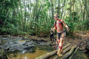 BIB: 
                            <button type="button" onclick="openModal(26440654)" class="btn btn-primary btn-sm float-right btn-popup" data-toggle="modal" data-target=".modal-high-quality">
                        <i class="fas fa-shopping-cart"></i> Add to Cart
                    </button>
                                            <button type="button" onclick="isThisMe(26440654, true)" class="btn btn-success btn-sm float-right btn-popup btn-isme hidden" data-toggle="tooltip" data-placement="bottom" title="นี่คือรูปของคุณใช่ไหม คลิกที่นี่เพื่อเอาเข้าอัลบั้ม">
                        <i class="fas fa-plus"></i> Add to album
                    </button>
                    <button type="button" onclick="isThisMe(26440654, false)" class="btn btn-warning btn-sm float-right btn-popup btn-isnotme hidden">
                        <i class="fas fa-ban"></i> Remove from album
                    </button>