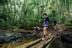 BIB: 
                            <button type="button" onclick="openModal(26504399)" class="btn btn-primary btn-sm float-right btn-popup" data-toggle="modal" data-target=".modal-high-quality">
                        <i class="fas fa-shopping-cart"></i> Add to Cart
                    </button>
                                            <button type="button" onclick="isThisMe(26504399, true)" class="btn btn-success btn-sm float-right btn-popup btn-isme hidden" data-toggle="tooltip" data-placement="bottom" title="นี่คือรูปของคุณใช่ไหม คลิกที่นี่เพื่อเอาเข้าอัลบั้ม">
                        <i class="fas fa-plus"></i> Add to album
                    </button>
                    <button type="button" onclick="isThisMe(26504399, false)" class="btn btn-warning btn-sm float-right btn-popup btn-isnotme hidden">
                        <i class="fas fa-ban"></i> Remove from album
                    </button>