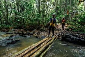 BIB: 
                            <button type="button" onclick="openModal(26496779)" class="btn btn-primary btn-sm float-right btn-popup" data-toggle="modal" data-target=".modal-high-quality">
                        <i class="fas fa-shopping-cart"></i> Add to Cart
                    </button>
                                            <button type="button" onclick="isThisMe(26496779, true)" class="btn btn-success btn-sm float-right btn-popup btn-isme hidden" data-toggle="tooltip" data-placement="bottom" title="นี่คือรูปของคุณใช่ไหม คลิกที่นี่เพื่อเอาเข้าอัลบั้ม">
                        <i class="fas fa-plus"></i> Add to album
                    </button>
                    <button type="button" onclick="isThisMe(26496779, false)" class="btn btn-warning btn-sm float-right btn-popup btn-isnotme hidden">
                        <i class="fas fa-ban"></i> Remove from album
                    </button>