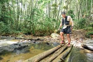 BIB: 
                            <button type="button" onclick="openModal(26449451)" class="btn btn-primary btn-sm float-right btn-popup" data-toggle="modal" data-target=".modal-high-quality">
                        <i class="fas fa-shopping-cart"></i> Add to Cart
                    </button>
                                            <button type="button" onclick="isThisMe(26449451, true)" class="btn btn-success btn-sm float-right btn-popup btn-isme hidden" data-toggle="tooltip" data-placement="bottom" title="นี่คือรูปของคุณใช่ไหม คลิกที่นี่เพื่อเอาเข้าอัลบั้ม">
                        <i class="fas fa-plus"></i> Add to album
                    </button>
                    <button type="button" onclick="isThisMe(26449451, false)" class="btn btn-warning btn-sm float-right btn-popup btn-isnotme hidden">
                        <i class="fas fa-ban"></i> Remove from album
                    </button>