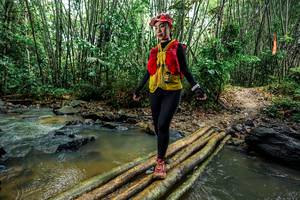 BIB: 
                            <button type="button" onclick="openModal(26497042)" class="btn btn-primary btn-sm float-right btn-popup" data-toggle="modal" data-target=".modal-high-quality">
                        <i class="fas fa-shopping-cart"></i> Add to Cart
                    </button>
                                            <button type="button" onclick="isThisMe(26497042, true)" class="btn btn-success btn-sm float-right btn-popup btn-isme hidden" data-toggle="tooltip" data-placement="bottom" title="นี่คือรูปของคุณใช่ไหม คลิกที่นี่เพื่อเอาเข้าอัลบั้ม">
                        <i class="fas fa-plus"></i> Add to album
                    </button>
                    <button type="button" onclick="isThisMe(26497042, false)" class="btn btn-warning btn-sm float-right btn-popup btn-isnotme hidden">
                        <i class="fas fa-ban"></i> Remove from album
                    </button>