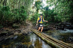 BIB: 
                            <button type="button" onclick="openModal(26467969)" class="btn btn-primary btn-sm float-right btn-popup" data-toggle="modal" data-target=".modal-high-quality">
                        <i class="fas fa-shopping-cart"></i> Add to Cart
                    </button>
                                            <button type="button" onclick="isThisMe(26467969, true)" class="btn btn-success btn-sm float-right btn-popup btn-isme hidden" data-toggle="tooltip" data-placement="bottom" title="นี่คือรูปของคุณใช่ไหม คลิกที่นี่เพื่อเอาเข้าอัลบั้ม">
                        <i class="fas fa-plus"></i> Add to album
                    </button>
                    <button type="button" onclick="isThisMe(26467969, false)" class="btn btn-warning btn-sm float-right btn-popup btn-isnotme hidden">
                        <i class="fas fa-ban"></i> Remove from album
                    </button>