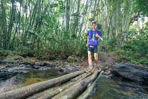 BIB: 
                            <button type="button" onclick="openModal(26426330)" class="btn btn-primary btn-sm float-right btn-popup" data-toggle="modal" data-target=".modal-high-quality">
                        <i class="fas fa-shopping-cart"></i> Add to Cart
                    </button>
                                            <button type="button" onclick="isThisMe(26426330, true)" class="btn btn-success btn-sm float-right btn-popup btn-isme hidden" data-toggle="tooltip" data-placement="bottom" title="นี่คือรูปของคุณใช่ไหม คลิกที่นี่เพื่อเอาเข้าอัลบั้ม">
                        <i class="fas fa-plus"></i> Add to album
                    </button>
                    <button type="button" onclick="isThisMe(26426330, false)" class="btn btn-warning btn-sm float-right btn-popup btn-isnotme hidden">
                        <i class="fas fa-ban"></i> Remove from album
                    </button>