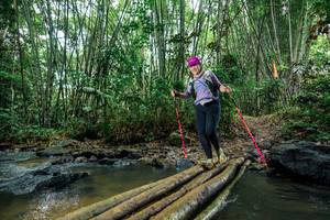 BIB: 
                            <button type="button" onclick="openModal(26488929)" class="btn btn-primary btn-sm float-right btn-popup" data-toggle="modal" data-target=".modal-high-quality">
                        <i class="fas fa-shopping-cart"></i> Add to Cart
                    </button>
                                            <button type="button" onclick="isThisMe(26488929, true)" class="btn btn-success btn-sm float-right btn-popup btn-isme hidden" data-toggle="tooltip" data-placement="bottom" title="นี่คือรูปของคุณใช่ไหม คลิกที่นี่เพื่อเอาเข้าอัลบั้ม">
                        <i class="fas fa-plus"></i> Add to album
                    </button>
                    <button type="button" onclick="isThisMe(26488929, false)" class="btn btn-warning btn-sm float-right btn-popup btn-isnotme hidden">
                        <i class="fas fa-ban"></i> Remove from album
                    </button>